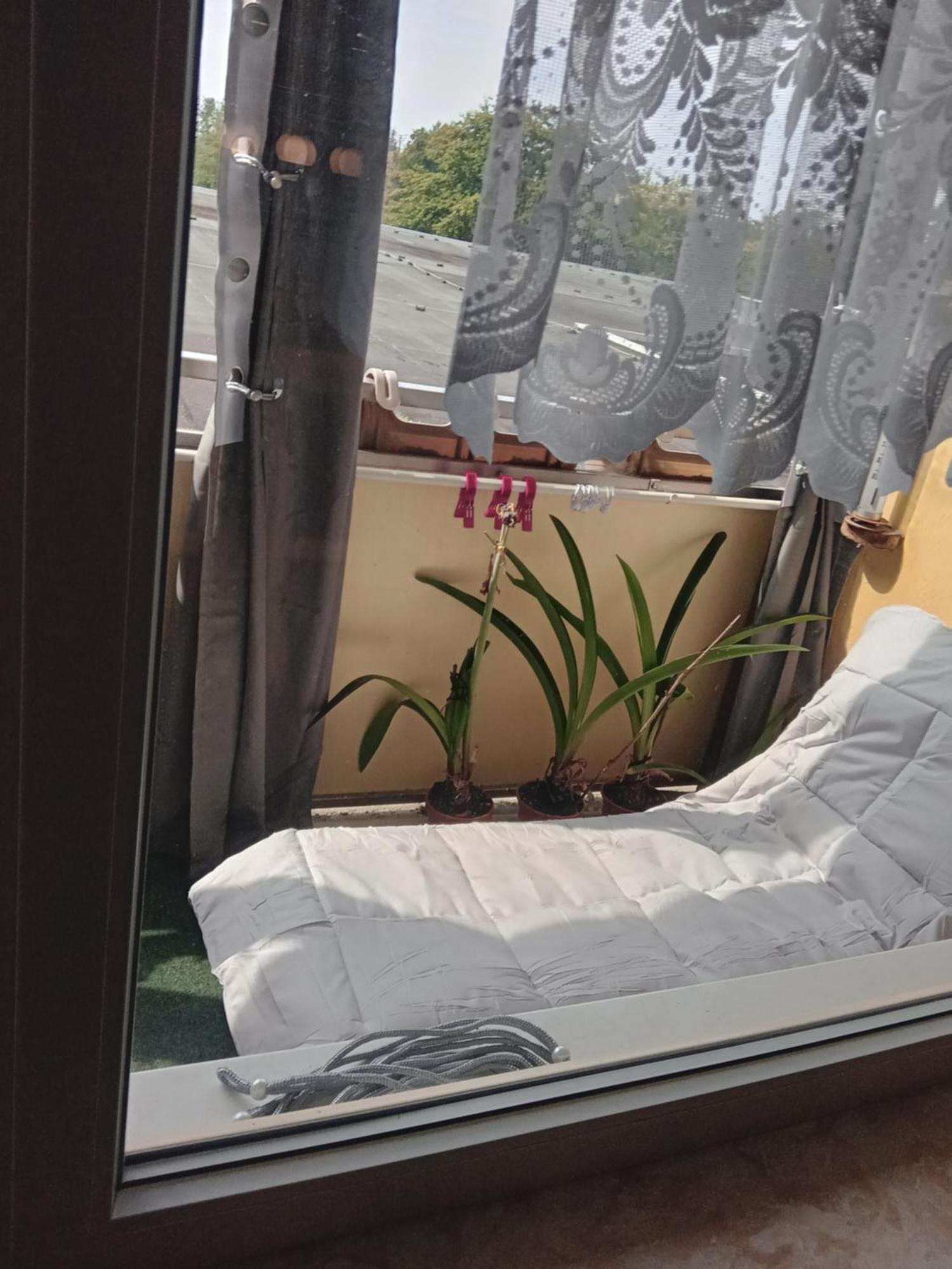 Wohnung 416, Am Kurpark 3, 38700 برونلاغ المظهر الخارجي الصورة